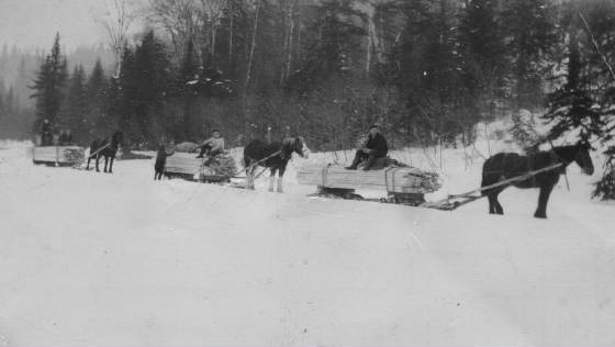 haulinglumberfromthistlessawmill.jpg