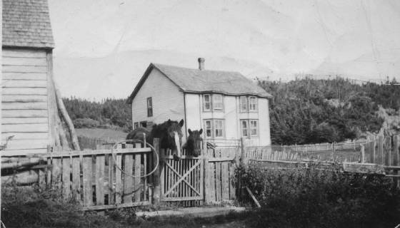lloydmillshomeatmillscove...jpg